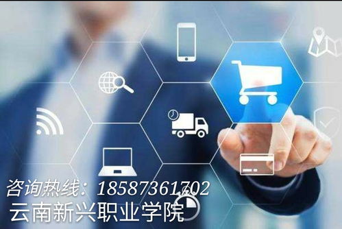云南新興職業學院 電子商務技術引領策劃創意服務新篇章